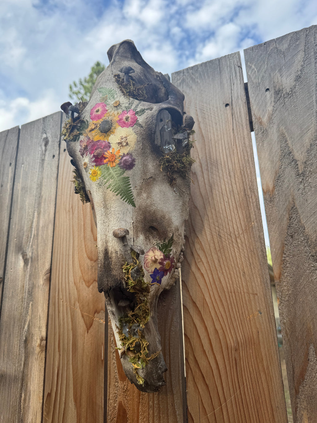 Cottage-core Horse Skull