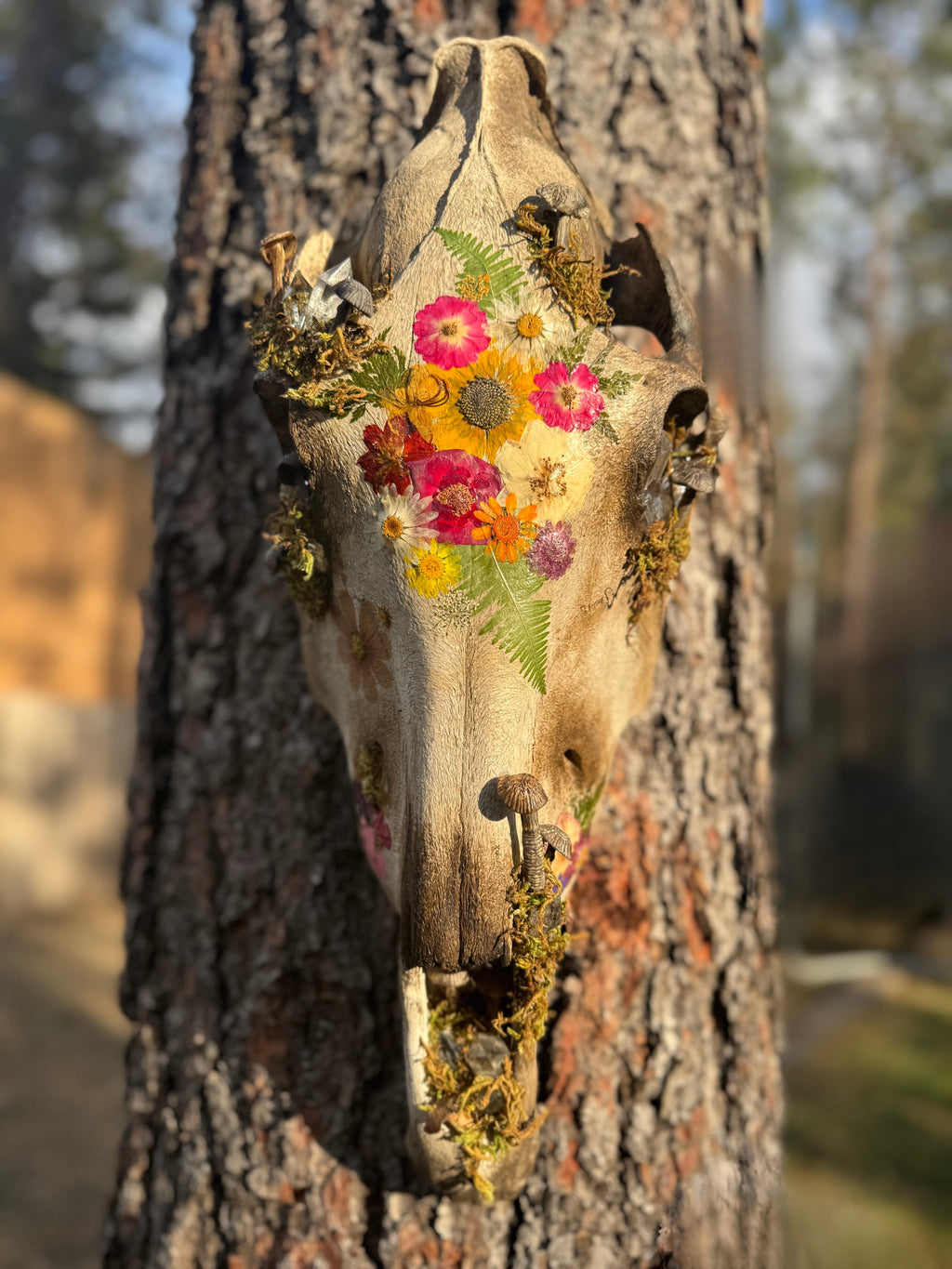 Cottage-core Horse Skull