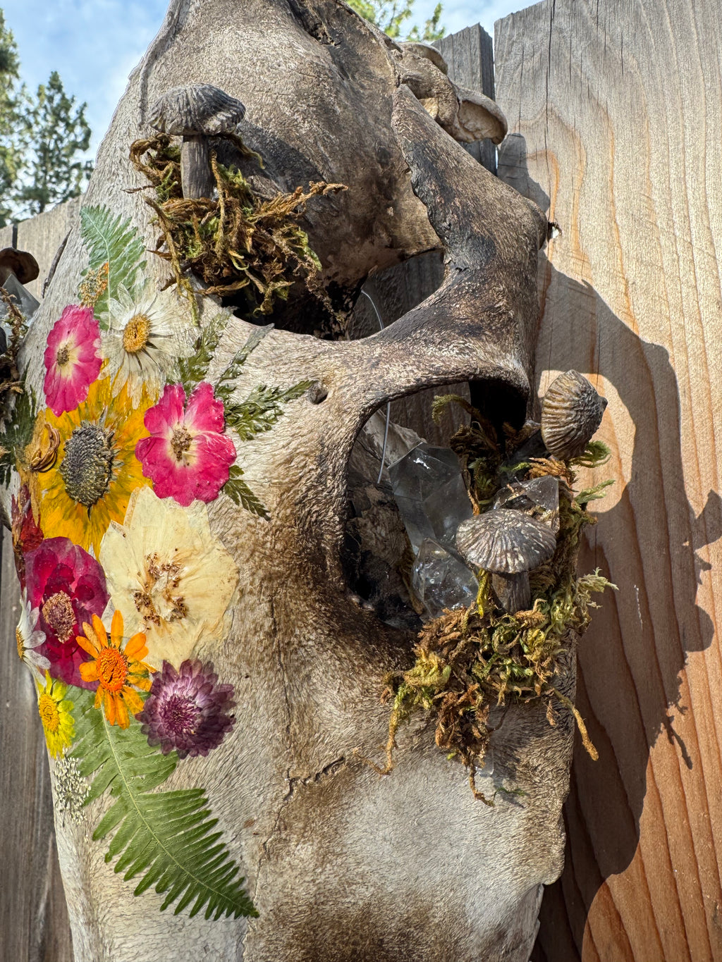 Cottage-core Horse Skull