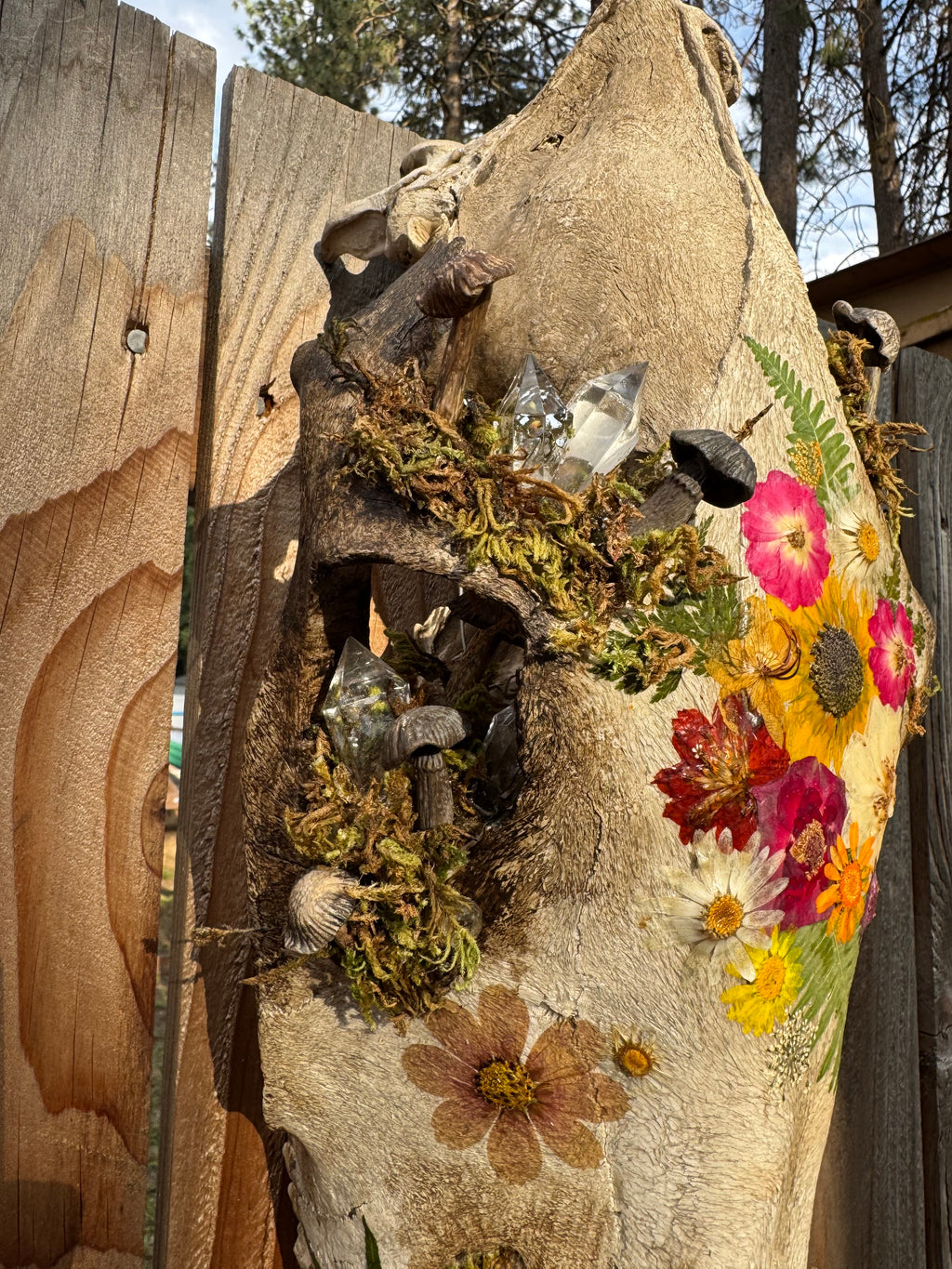 Cottage-core Horse Skull