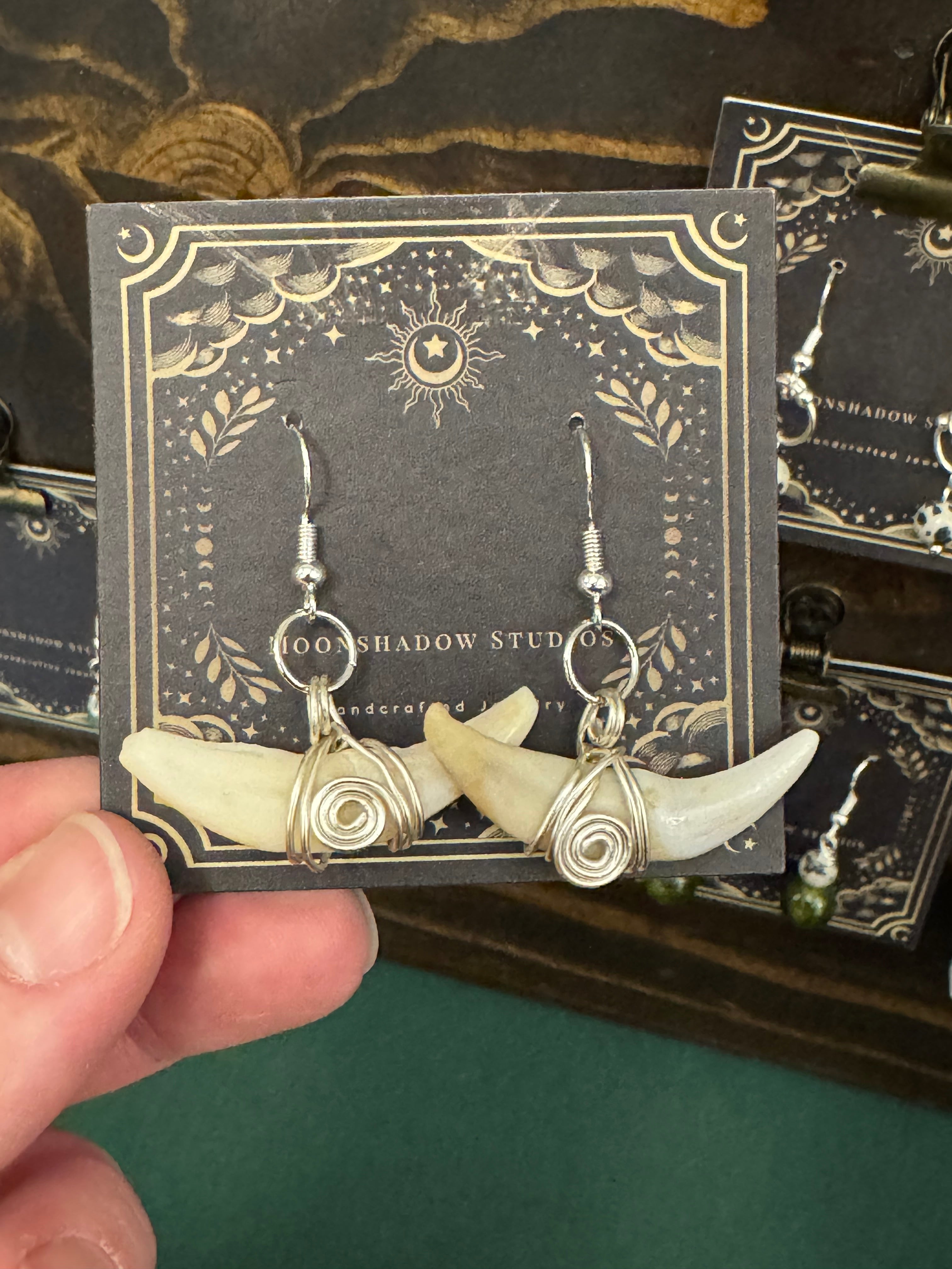 Animal tooth earrings
